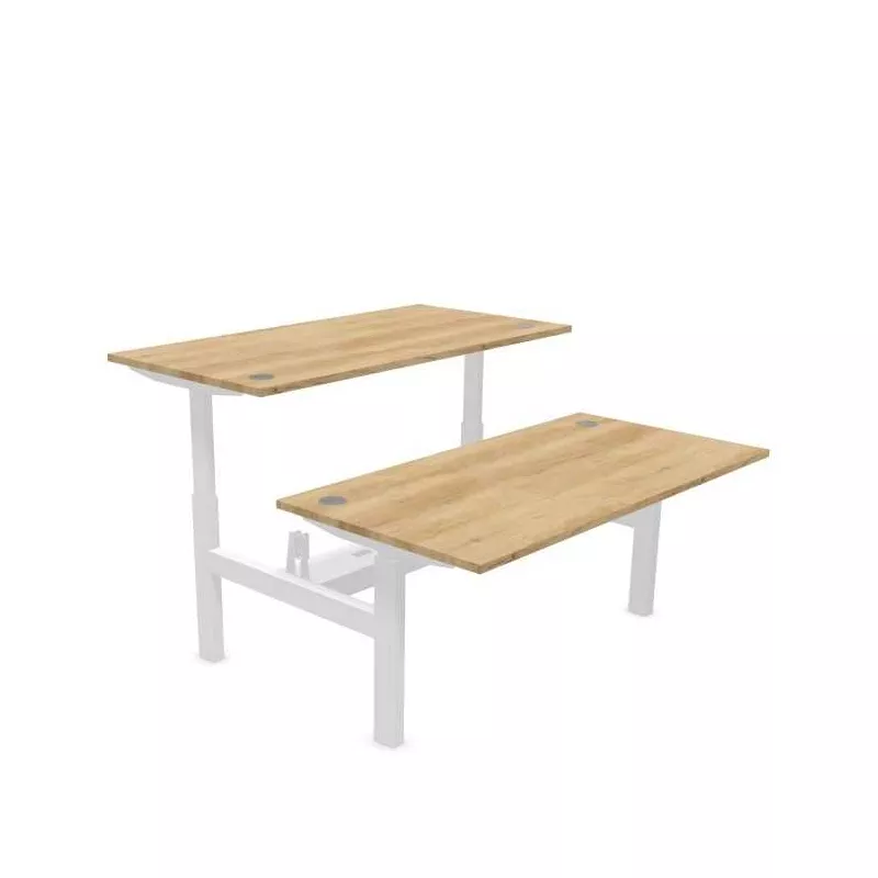 ENVOL EVO PARTAGE│Bureaux électriques 4 moteurs - 4 mémoires de position - USB A+C