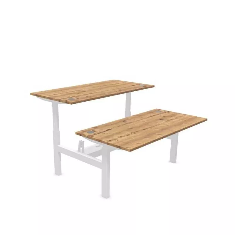 ENVOL EVO PARTAGE│Bureaux électriques 4 moteurs - 4 mémoires de position - USB A+C