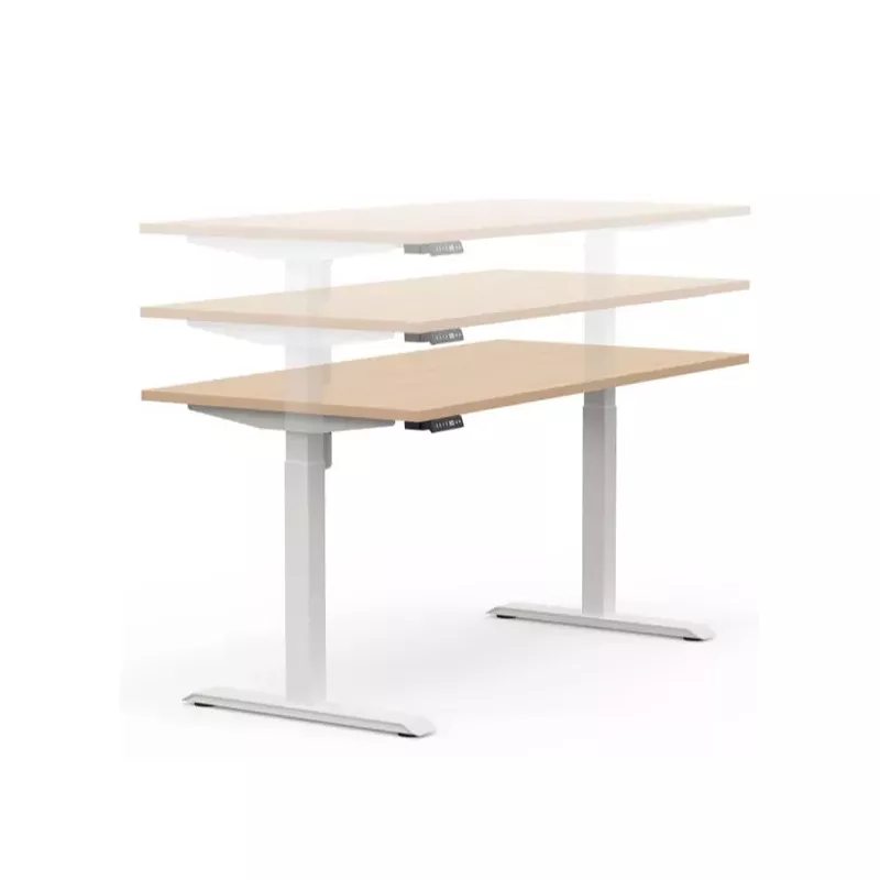 LUTZ 2 épaisseur 19MM│Bureau électrique simple motorisation - 3 mémoires de position - USB A+C