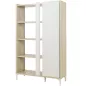 LENK│Bibliothèque 1 porte │36x100xh161 cm LENK│Bibliothèque 1 porte │36x100xh161 cm