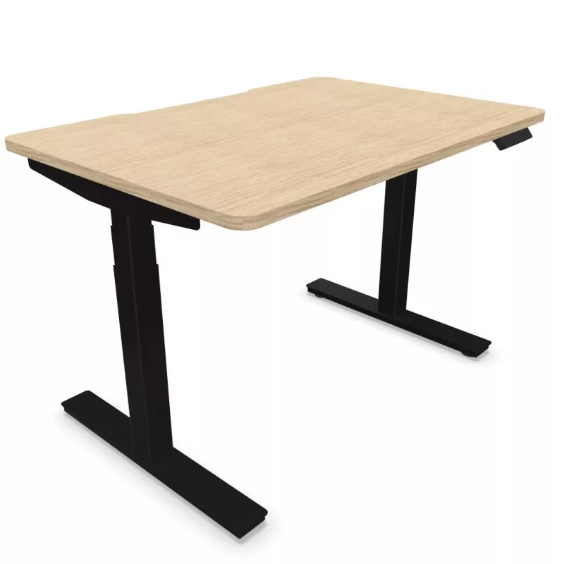 ALTO RH│Bureau électrique 2 moteurs - 4 mémoires de position - USB A+C