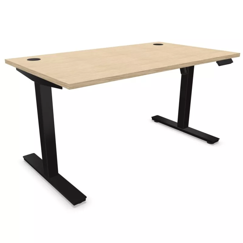 ENVOL ONE│Bureau électrique 1 moteur - 4 mémoires de position - USB A ENVOL ONE│Bureau électrique 1 moteur - 4 mémoires de position - USB A