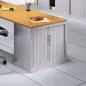 ARIV│Armoire rideau L 80 x p43 x H 71 cm│Acier unicolore - 5 décors à choix