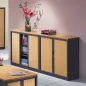 ARIV│Armoire rideau bicolore L 100-120 x H 105 cm│Décor bois/Acier