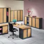 ARIV│Armoire rideau bicolore L 100-120 x H 105 cm│Décor bois/Acier