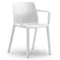 SOLÉO│Chaise collectivité│Avec accoudoirs│int-éxt.│5 coloris SOLÉO│Chaise collectivité│Avec accoudoirs│int-éxt.│5 coloris