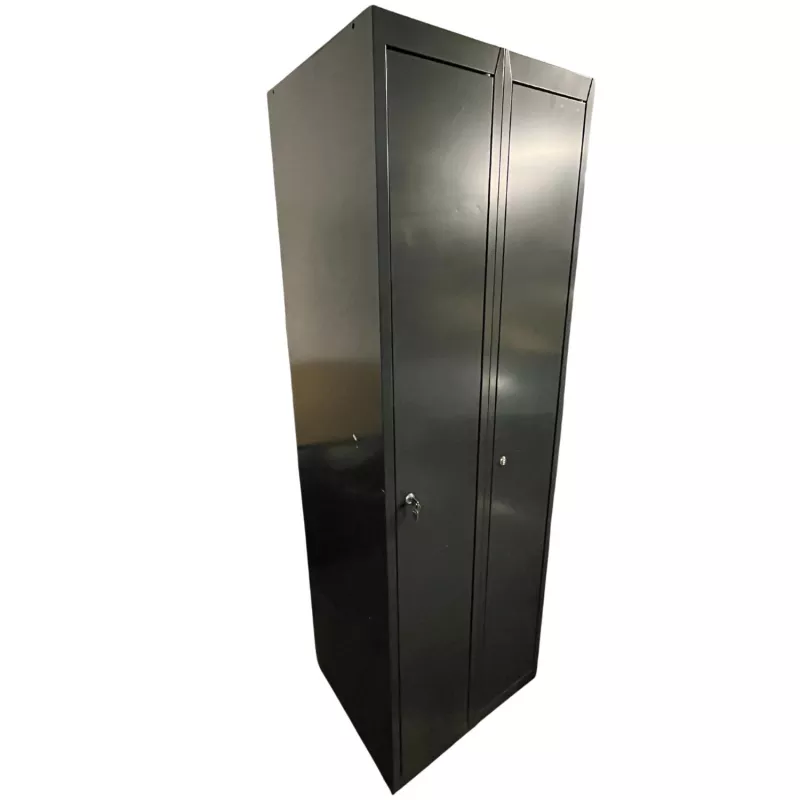 EOL│Vestiaire L 60 x p 50 x H 180 cm - 2 casiers - Industrie Propre │Gris anthracite