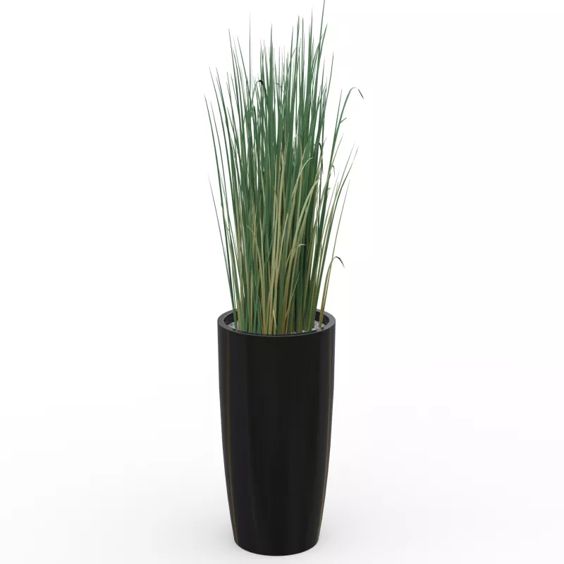 GRAMINÉES│POT H70cm│Total H160 cm│⌀35 cm GRAMINÉES│POT H70cm│Total H160 cm│⌀35 cm
