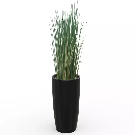 GRAMINÉES│POT H70cm│Total H160 cm│⌀35 cm