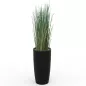 GRAMINÉES│POT H70cm│Total H160 cm│⌀35 cm GRAMINÉES│POT H70cm│Total H160 cm│⌀35 cm