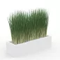 GRAMINÉES│BAC H20cm│Total H70 cm│80x20 cm GRAMINÉES│BAC H20cm│Total H70 cm│80x20 cm