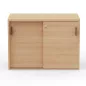 KARA RANGEMENT│Armoire Hauteur 73.5 x Largeur 100 cm - 2 portes coulissantes│4 coloris à choix KARA RANGEMENT│Armoire Hauteur 73.5 x Largeur 100 cm - 2 portes coulissantes│4 coloris à choix