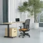 LUTZ 2 épaisseur 25MM│Bureau électrique simple motorisation - 3 mémoires de position - USB A+C