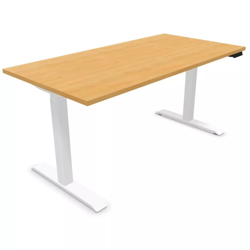LUTZ 2 épaisseur 25MM│Bureau électrique simple motorisation - 3 mémoires de position - USB A+C
