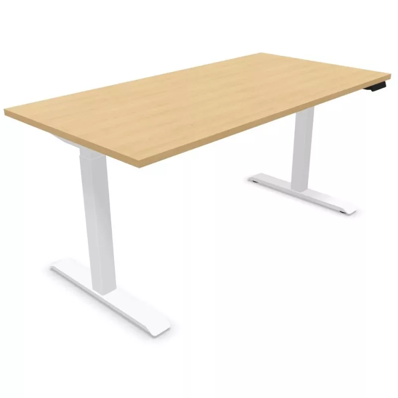 LUTZ 2 épaisseur 25MM│Bureau électrique simple motorisation - 3 mémoires de position - USB A+C