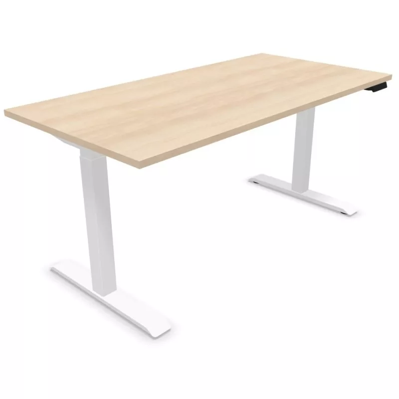 LUTZ 2 épaisseur 25MM│Bureau électrique simple motorisation - 3 mémoires de position - USB A+C