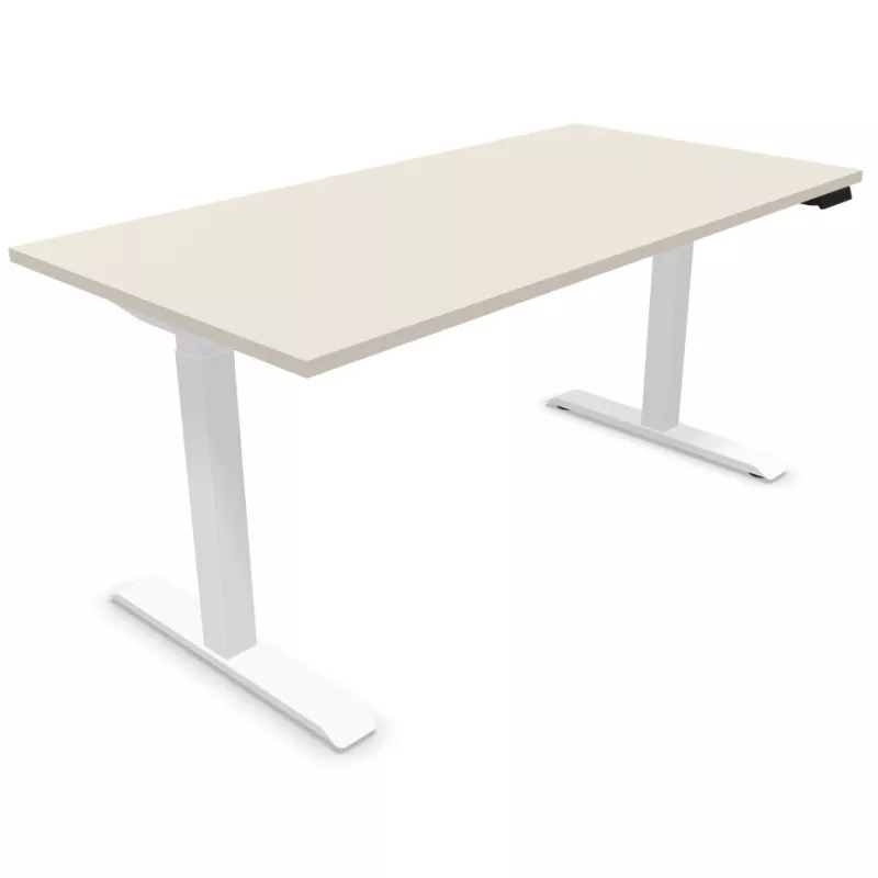 LUTZ 2 épaisseur 25MM│Bureau électrique simple motorisation - 3 mémoires de position - USB A+C