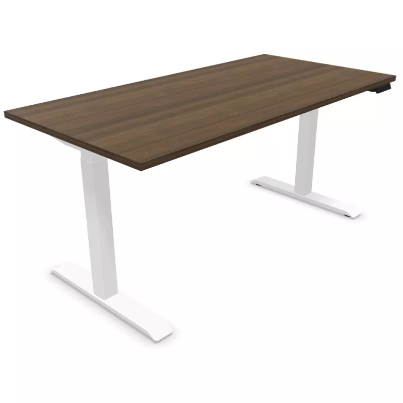 LUTZ 2 épaisseur 25MM│Bureau électrique simple motorisation - 3 mémoires de position - USB A+C