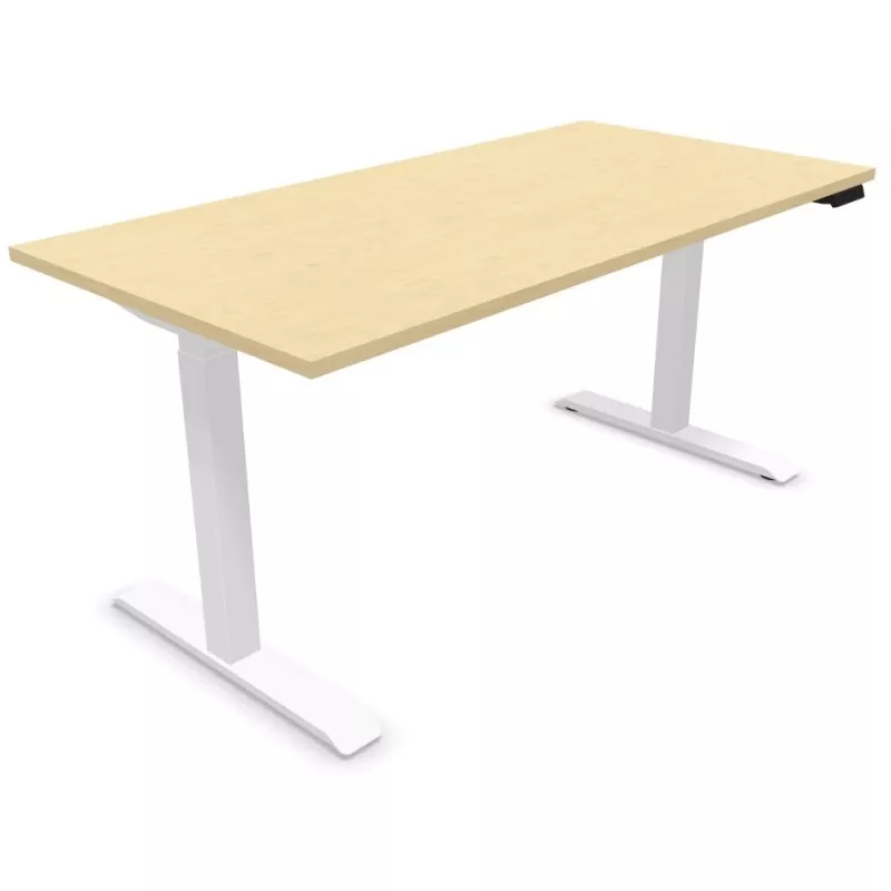 LUTZ 2 épaisseur 25MM│Bureau électrique simple motorisation - 3 mémoires de position - USB A+C