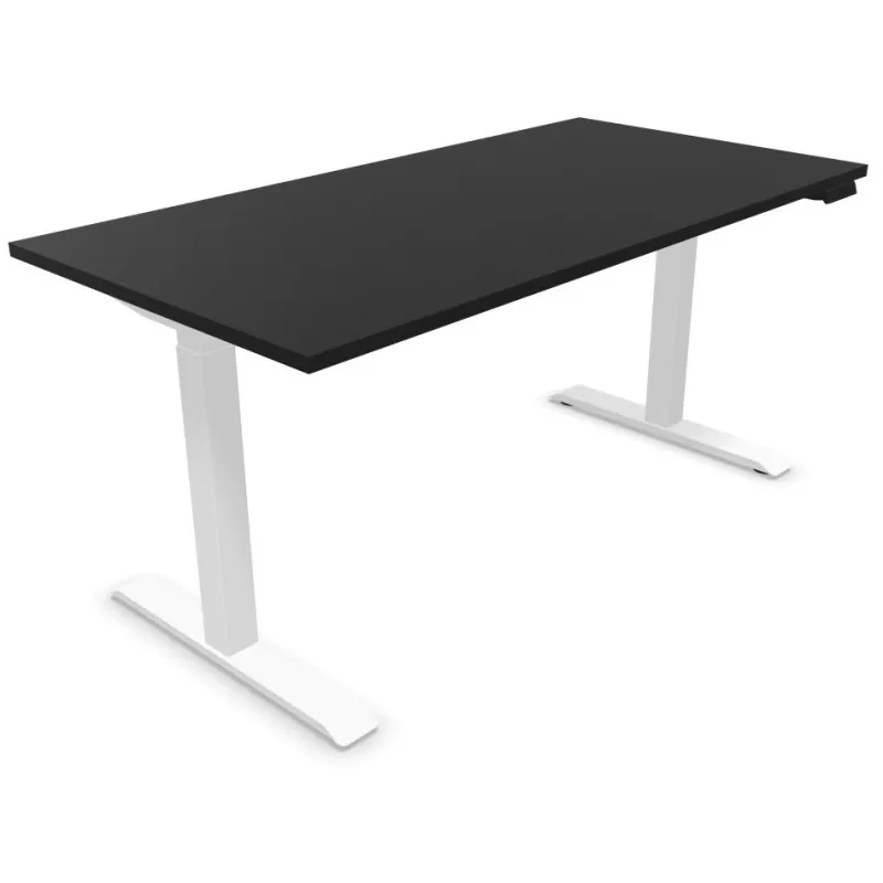 LUTZ 2 épaisseur 25MM│Bureau électrique simple motorisation - 3 mémoires de position - USB A+C