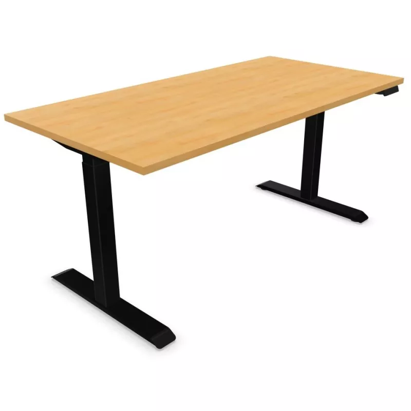 LUTZ 2 - 25MM│Bureau électrique simple motorisation - 3 mémoires de position - USB A+C