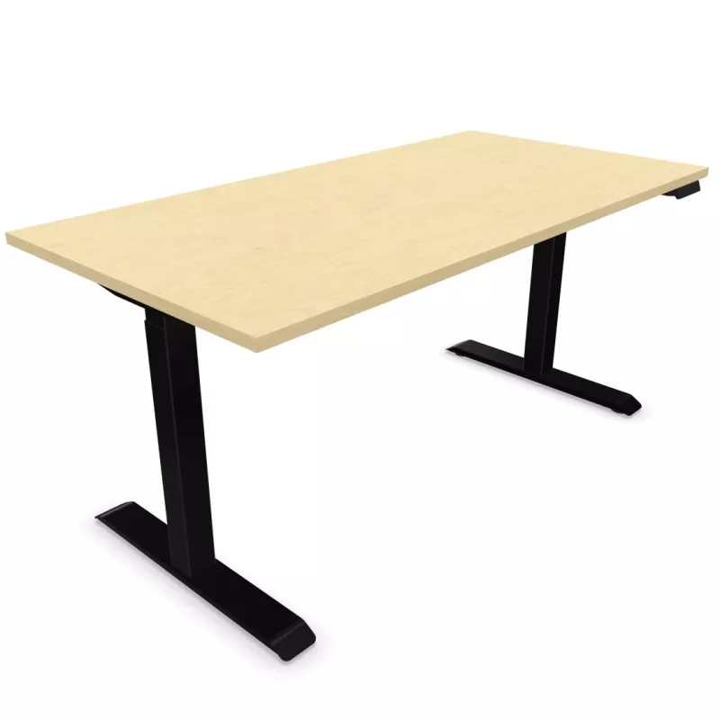 LUTZ 2 - 25MM│Bureau électrique simple motorisation - 3 mémoires de position - USB A+C