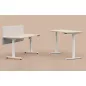 LUTZ 2 épaisseur 25MM│Bureau électrique simple motorisation - 3 mémoires de position - USB A+C