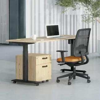 LUTZ 2 épaisseur 25MM│Bureau électrique simple motorisation - 3 mémoires de position - USB A+C