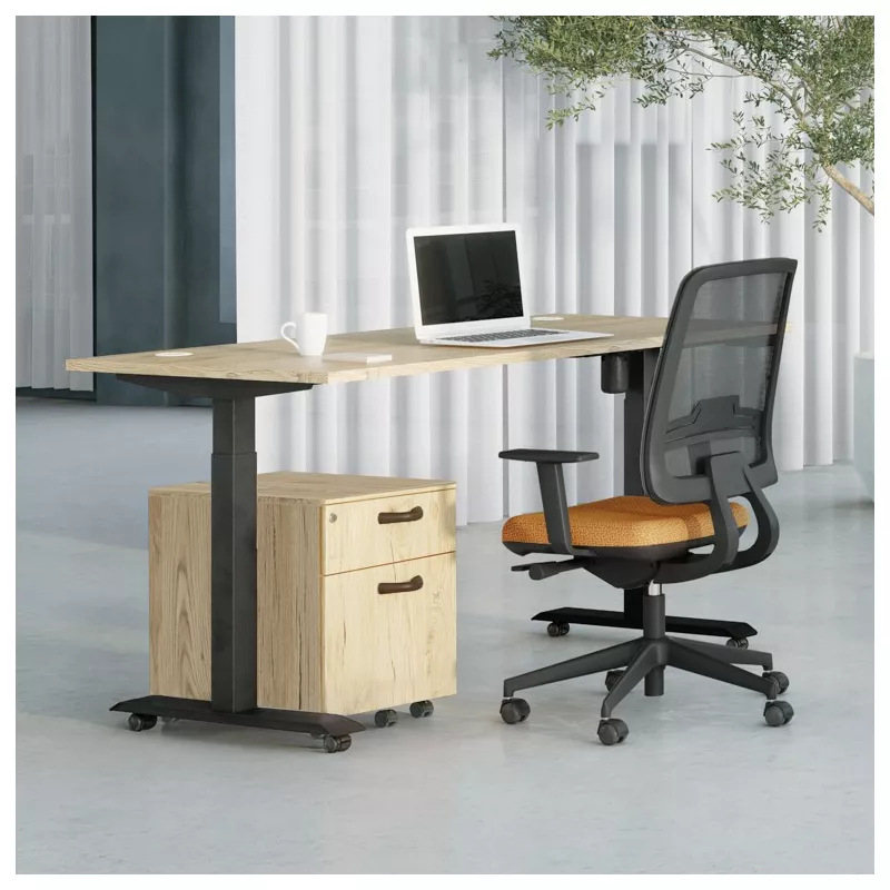 LUTZ 2 - 25MM│Bureau électrique simple motorisation - 3 mémoires de position - USB A+C