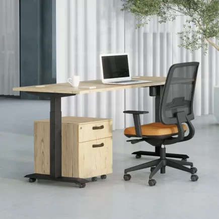 LUTZ 2 épaisseur 25MM│Bureau électrique simple motorisation - 3 mémoires de position - USB A+C