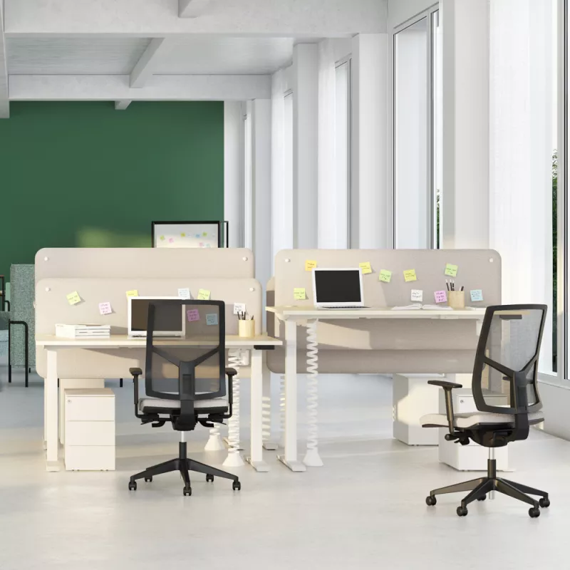 LUTZ 2 - 19MM│Bureau électrique simple motorisation - 3 mémoires de position - USB A+C
