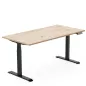 AXEL 2│Bureau électrique - p 70 cm - 4 mémoires double motorisation