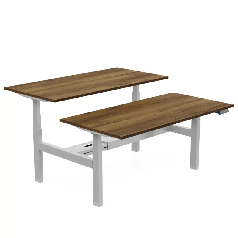 AXEL 2│Bureaux électriques structure partagée - 2 postes - double motorisation