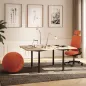 FLEX UP ONE│Bureau électrique 1 moteur - Commande simple FLEX UP ONE│Bureau électrique 1 moteur - Commande simple