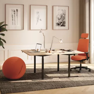 FLEX UP ONE+│Bureau électrique 1 moteur - 2 mémoires de position - 2xUSB A