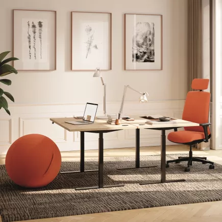 FLEX UP ONE+│Bureau électrique 1 moteur - 2 mémoires de position - 2xUSB A