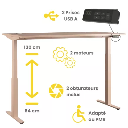 FLEX UP TWO│Bureau électrique Bicolore 2 moteurs - 2 mémoires de position - 2xUSB A