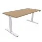 FLEX UP ONE+│Bureau électrique 1 moteur - 2 mémoires de position - 2xUSB A FLEX UP ONE+│Bureau électrique 1 moteur - 2 mémoires de position - 2xUSB A