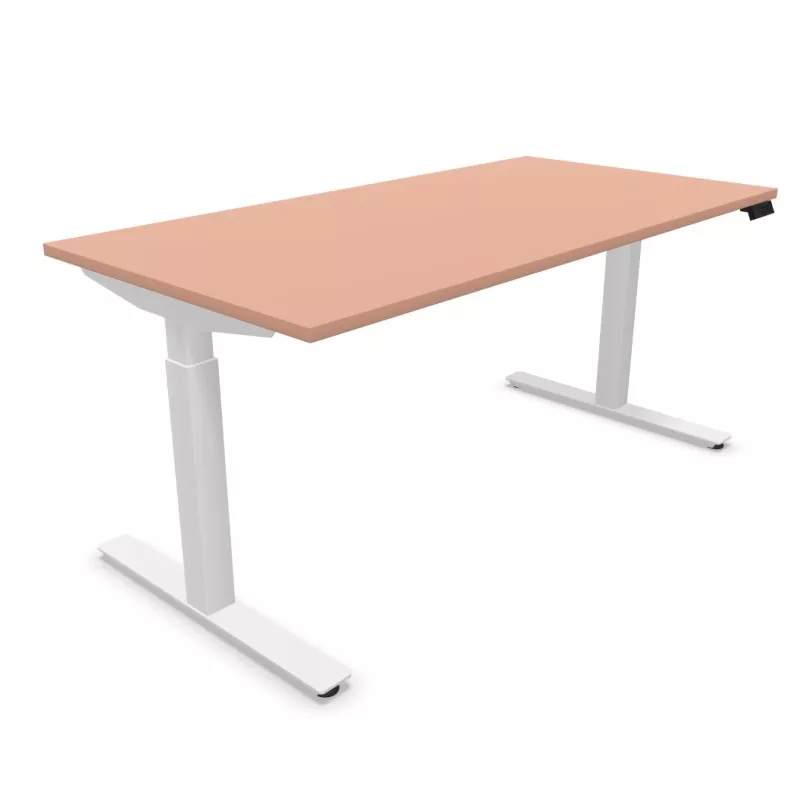 FLEX UP TWO│Bureau électrique 2 moteurs - 2 mémoires de position - 2xUSB A│Plateau mélaminé 25mm