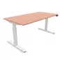 FLEX UP TWO│Bureau électrique 2 moteurs - 2 mémoires de position - 2xUSB A│Plateau mélaminé 25mm