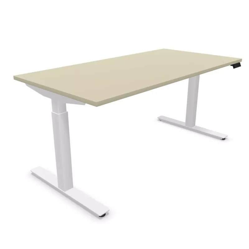 FLEX UP TWO│Bureau électrique 2 moteurs - 2 mémoires de position - 2xUSB A│Plateau mélaminé 25mm