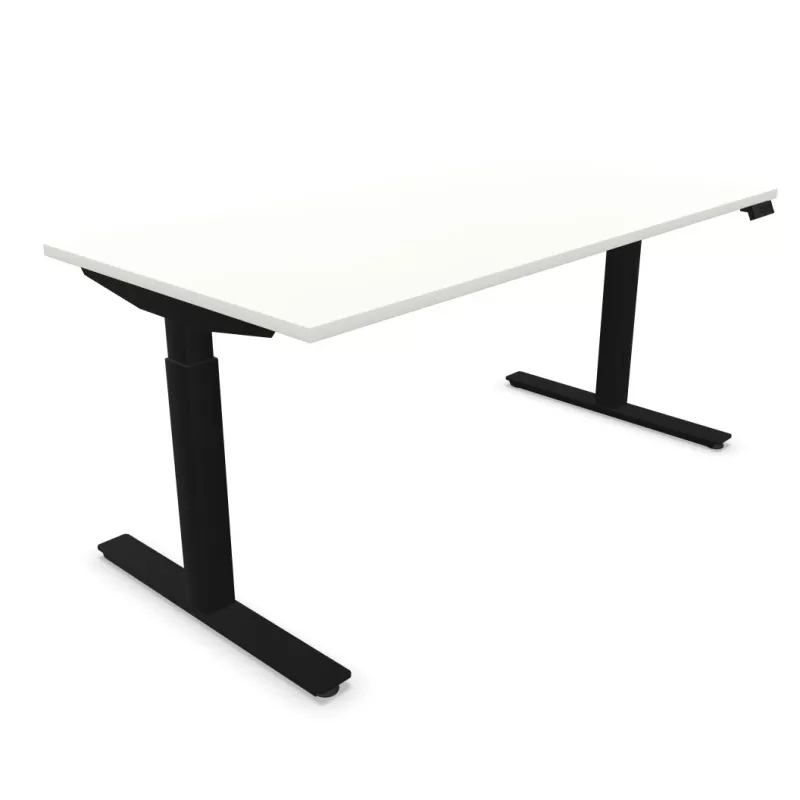 FLEX UP TWO│Bureau électrique 2 moteurs - 2 mémoires de position - 2xUSB A│Plateau mélaminé 25mm