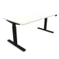 FLEX UP TWO│Bureau électrique 2 moteurs - 2 mémoires de position - 2xUSB A│Plateau mélaminé 25mm