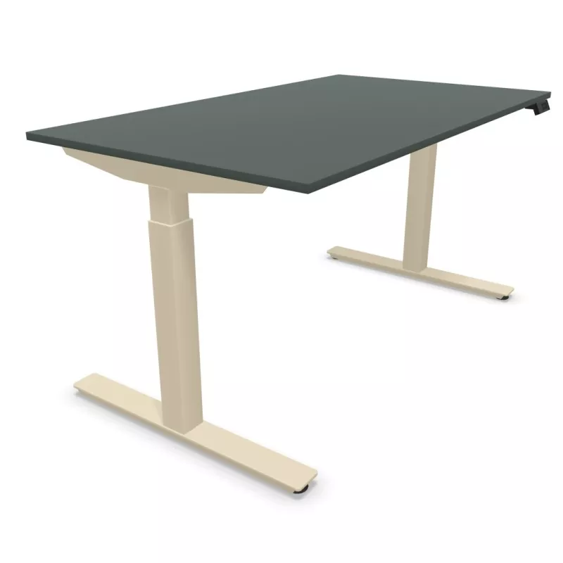 FLEX UP TWO TECH│Bureau électrique 2 moteurs - 2 mémoires de position - 2xUSB A│Plateau Technical Matt 19mm
