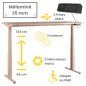 FLEX UP TWO│Bureau électrique 2 moteurs - 2 mémoires de position - 2xUSB A│Plateau mélaminé 25mm