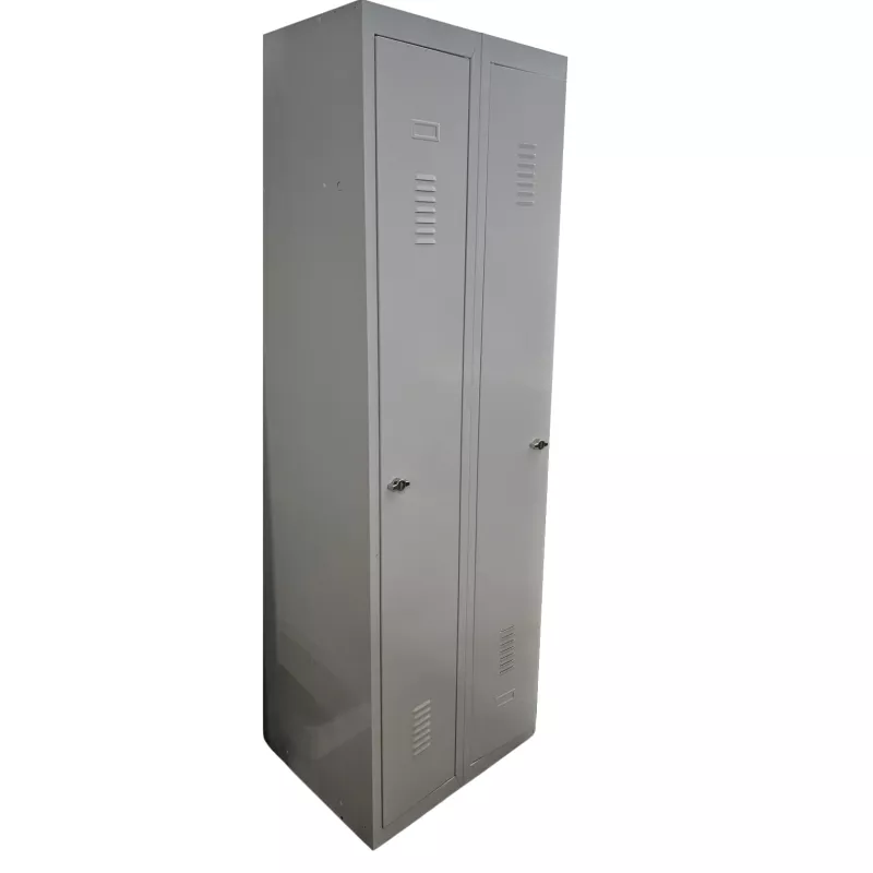 EOL│Vestiaire L 60 x p 50 x H 180 cm - 2 casiers - Industrie Propre │Gris clair EOL│Vestiaire L 60 x p 50 x H 180 cm - 2 casiers - Industrie Propre │Gris clair