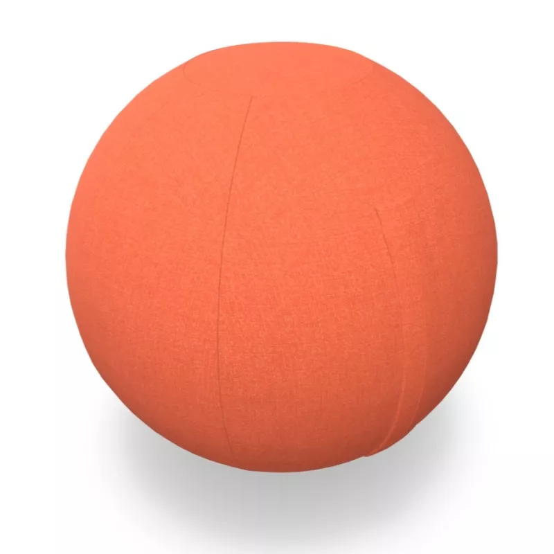 JIM BALL│Ballon ergonomique tapissé│Coloris à choix