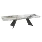 WASHINGTON│Table extensible L 200-300 cm│Plateau céramique│Coloris à choix