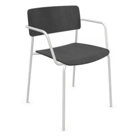 ESSENZA│Chaise en bois avec accoudoirs│Coloris à choix