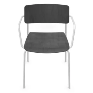 ESSENZA│Chaise en bois avec accoudoirs│Coloris à choix